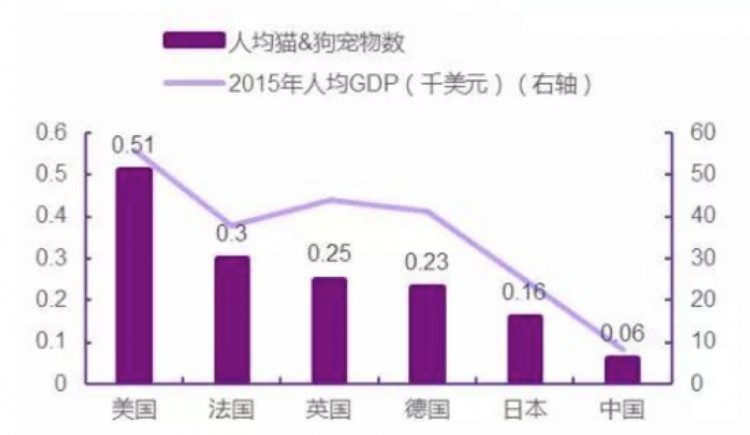 阿甘脑暴第20期｜宠物经济席卷而来投资机会在哪里